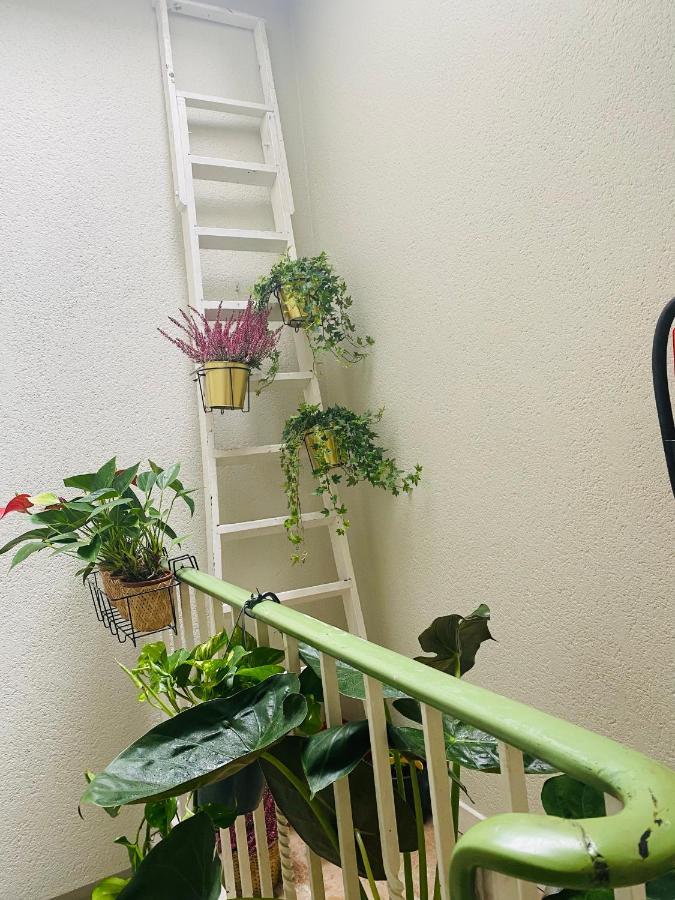 Appartement Ostende Kültér fotó